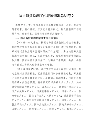 防止返贫监测工作开展情况总结