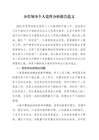 分管领导个人党性分析报告