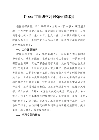 赴X市跟班学习锻炼心得体会