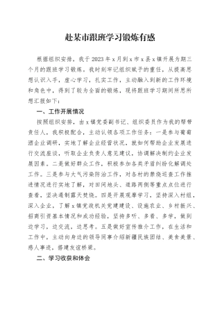 赴某市跟班学习锻炼有感