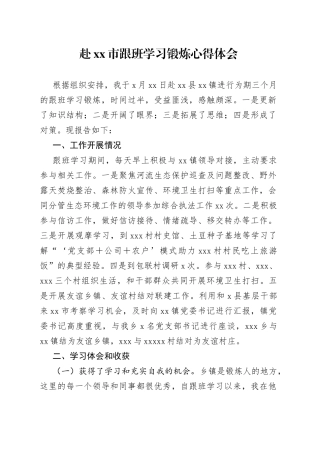 赴市跟班学习锻炼心得体会