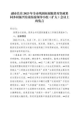 副市长在2023年全市巩固拓展脱贫攻坚成果同乡村振兴有效衔接领导小组（扩大）会议上的发言