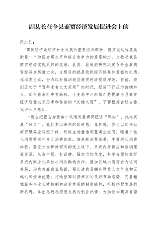 副县长在全县商贸经济发展促进会上的