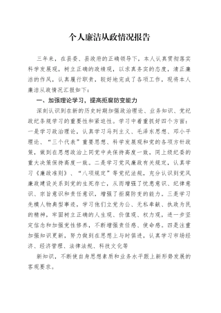 个人廉洁从政情况报告