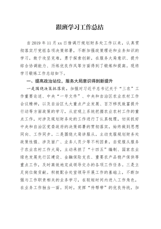 跟班学习工作总结