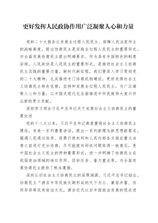 更好发挥人民政协作用 广泛凝聚人心和力量