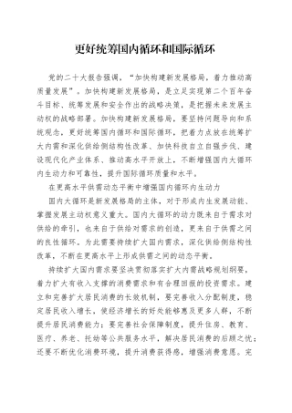 更好统筹国内循环和国际循环