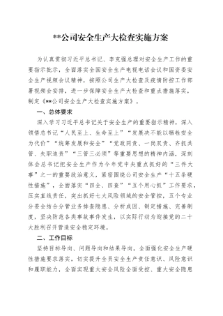 公司安全生产大检查实施方