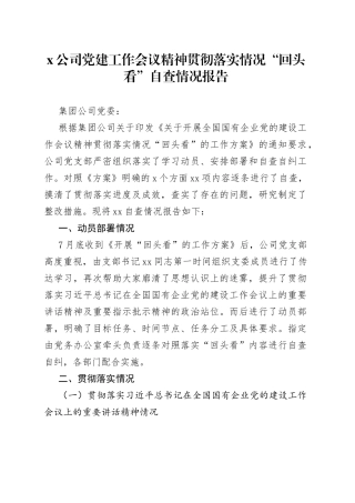 公司党建工作会议精神贯彻落实情况“回头看”自查情况报告