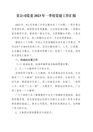 公司党委2023年一季度党建工作汇报