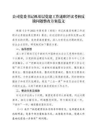 公司党委书记抓基层党建工作述职评议考核反馈问题整改方案集团企业