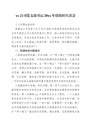 公司党支部书记20XX年度组织生活会个人对照检查材料