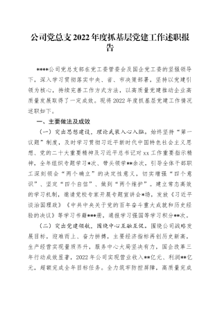 公司党总支2022年度抓基层党建工作述职报告