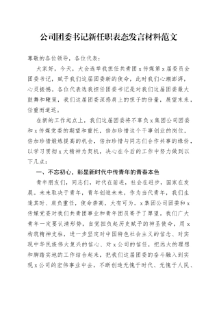 公司团委书记新任职表态发言材料（传媒集团企业共青团就职）