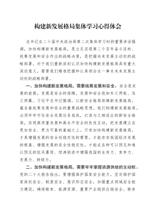 构建新发展格局集体学习心得体会