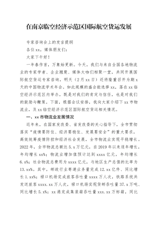 国际航空货运专家咨询会讲话提纲