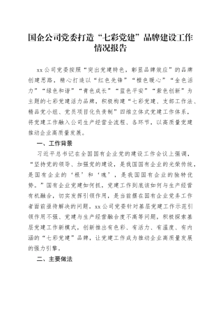 国企公司党委打造“七彩党建”品牌建设工作情况报告