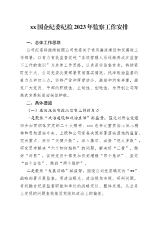 国企纪委纪检2023年监察工作安排