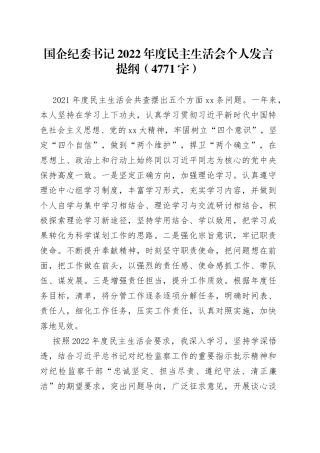 国企纪委书记2022年度民主生活会个人发言提纲