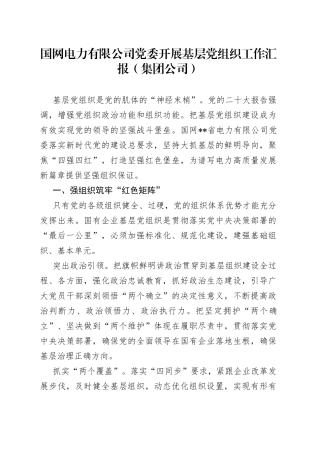 国网电力有限公司党委开展基层党组织工作汇报（集团公司）