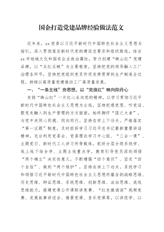 国有企业党建品牌工作经验材料集团公司总结汇报报告