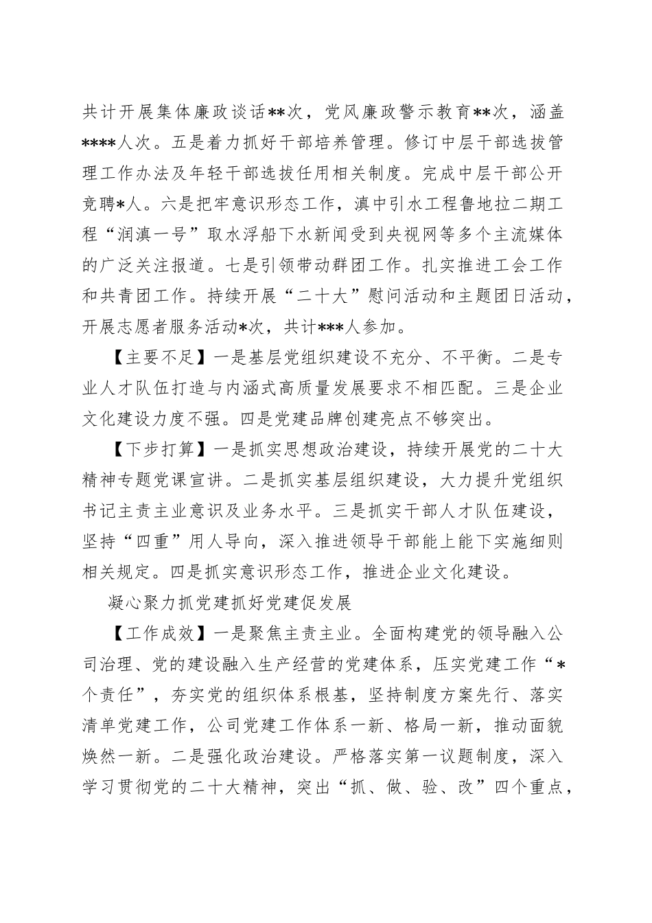 国资公司各子公司党委书记年度抓基层党建工作述职报告合集（11篇）_第2页