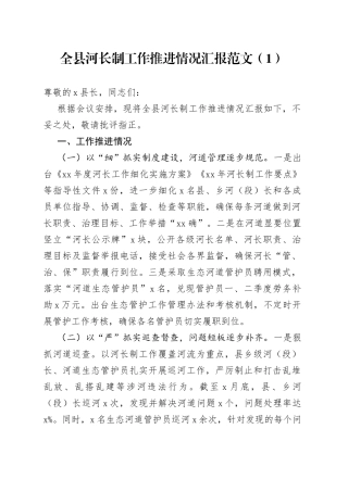 河长制工作推进情况汇报2篇