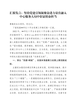 汇报发言：坚持党建引领 凝聚奋进力量 在融入中心服务大局中彰显使命担当