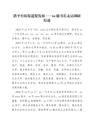 搭平台 拓渠道 促发展——XX秘书长走访调研综述（20230115）