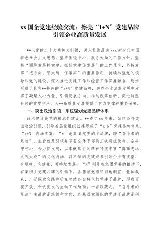 XX国企党建经验交流：擦亮“1+N”党建品牌引领企业高质量发展