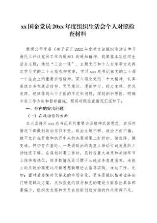 XX国企党员20XX年度组织生活会个人对照检查材料