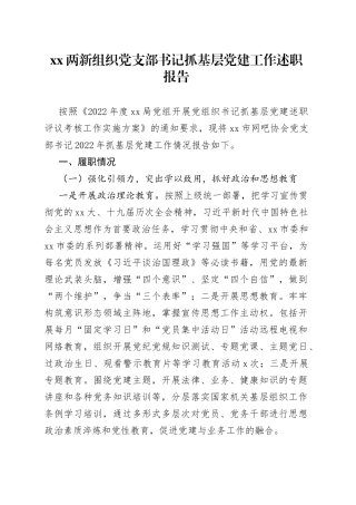 Xx两新组织党支部书记抓基层党建工作述职报告