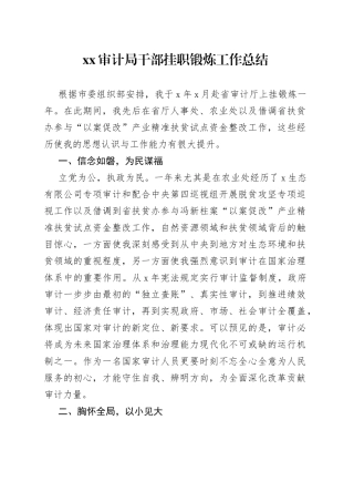 XX审计局干部挂职锻炼工作总结