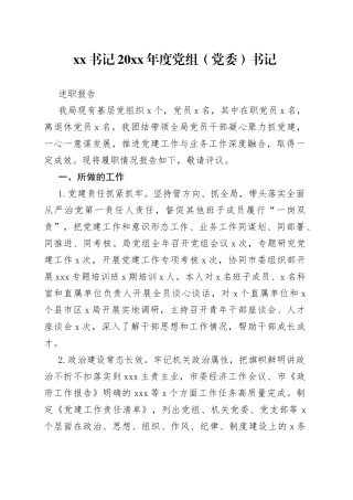 XX书记20XX年度党组（党委）书记述职报告