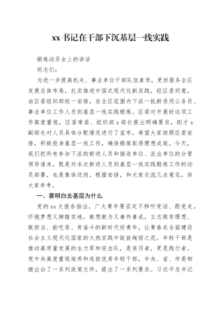 XX书记在干部下沉基层一线实践锻炼动员会上的讲话