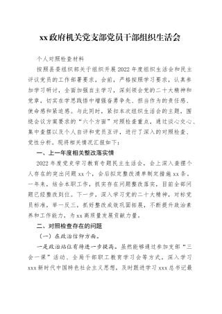 XX政府机关党支部党员干部组织生活会个人对照检查材料