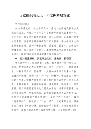 X党组织书记上一年度抓基层党建工作述职报告