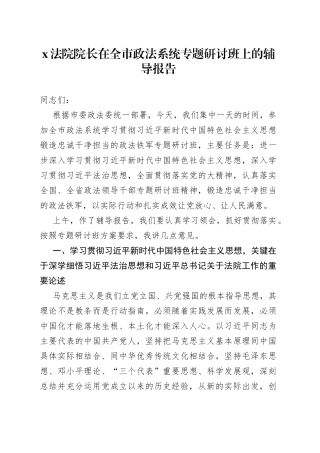 X法院院长在全市政法系统专题研讨班上的辅导报告