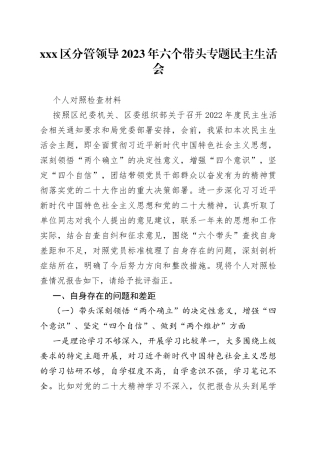 X区分管领导2023年六个带头专题民主生活会个人对照检查材料