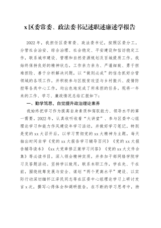 X区委常委、政法委书记述职述廉述学报告