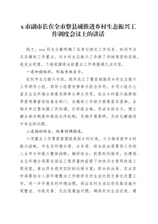 X市副市长在全市整县域推进乡村生态振兴工作调度会议上的讲话