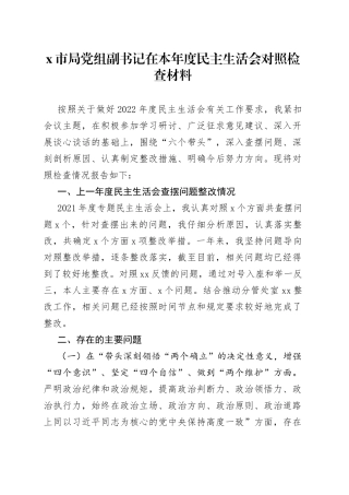 X市局党组副书记在本年度民主生活会对照检查材料