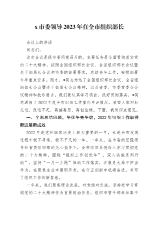 X市委领导2023年在全市组织部长会议上的讲话