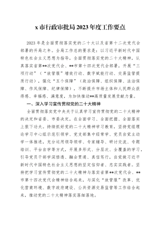 X市行政审批局2023年度工作要点