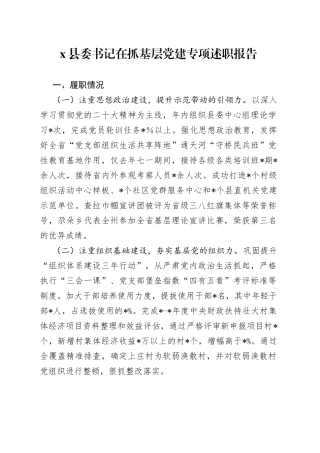 X县委书记在抓基层党建专项述职报告