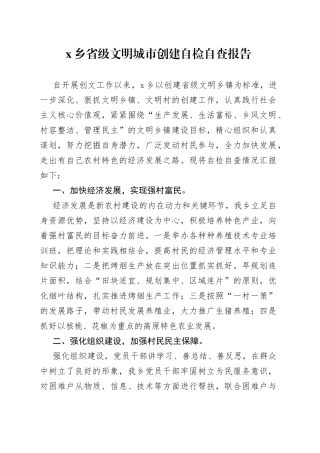 X乡省级文明城市创建自检自查报告
