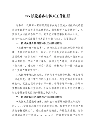 X镇党委乡村振兴工作汇报