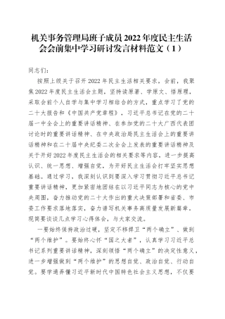 班子成员2022年度民主生活会会前集中学习研讨发言材料2篇