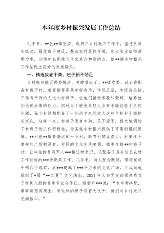本年度乡村振兴发展工作总结