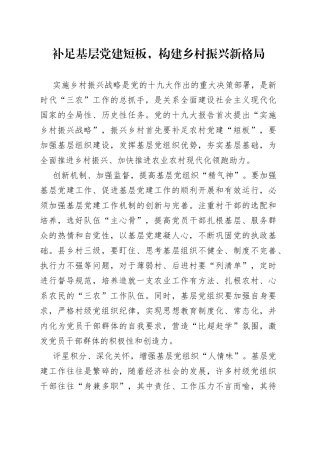 补足基层党建短板，构建乡村振兴新格局